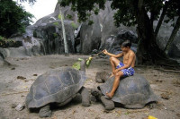 /album/fotogaleria-seychely-zajazd-vy-a-my/seychely-zajazd-97-jpg/